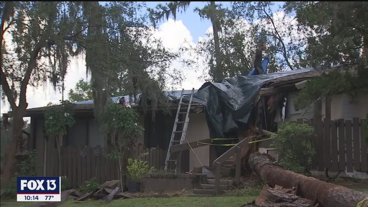 Tree falls onto apartment, injuring 2